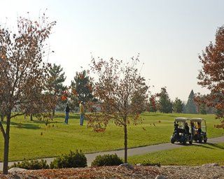 Whitebirch Resort At Breezy Point Exteriör bild